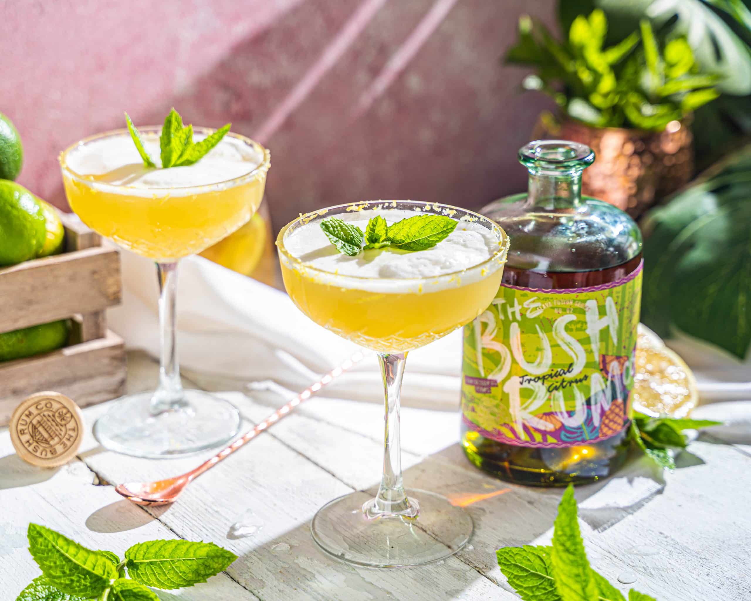 Tropical Fizz Bush Rum Co